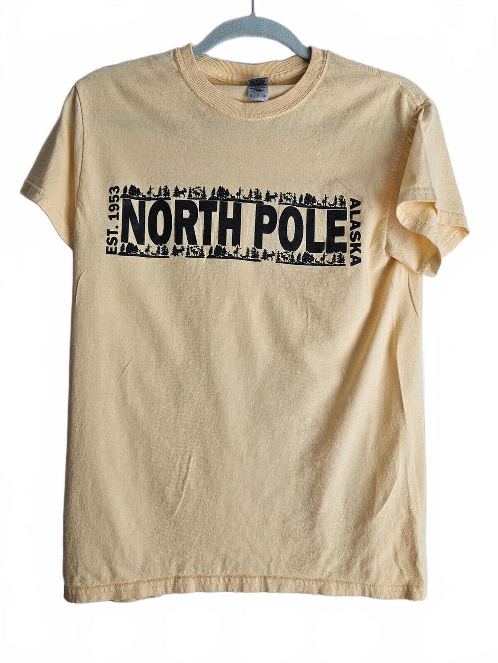 Kid's Gildan Heavy Cotton North Pole Alaska T-Shirt Size Small